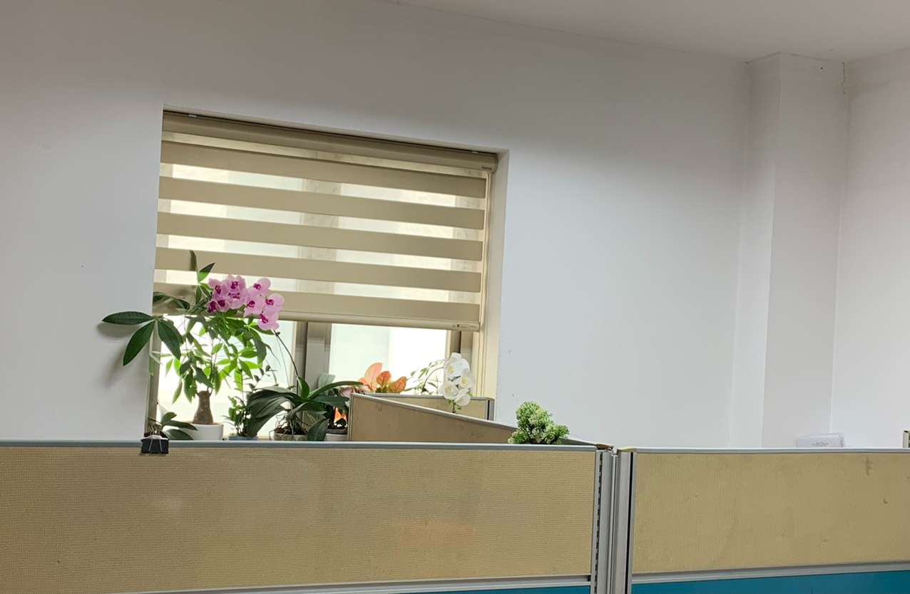 Rèm cầu vồng phòng khách tại Láng Thượng, Đống Đa