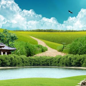 Rèm Cuốn Tranh Giá Rẻ/ Rèm Cuốn Uy Tín